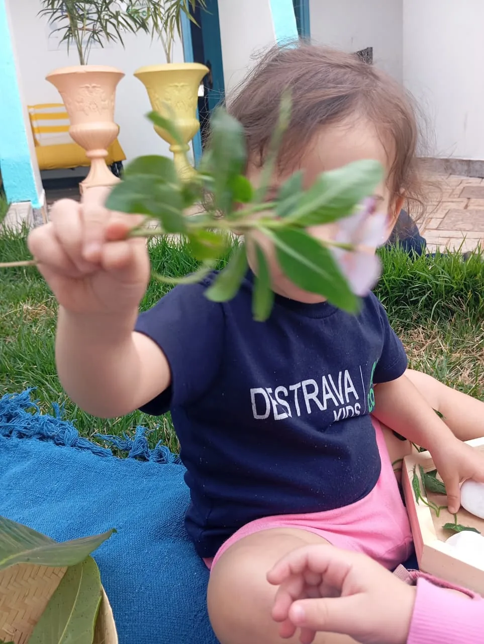 Criança do Berçário investigando folhas no jardim