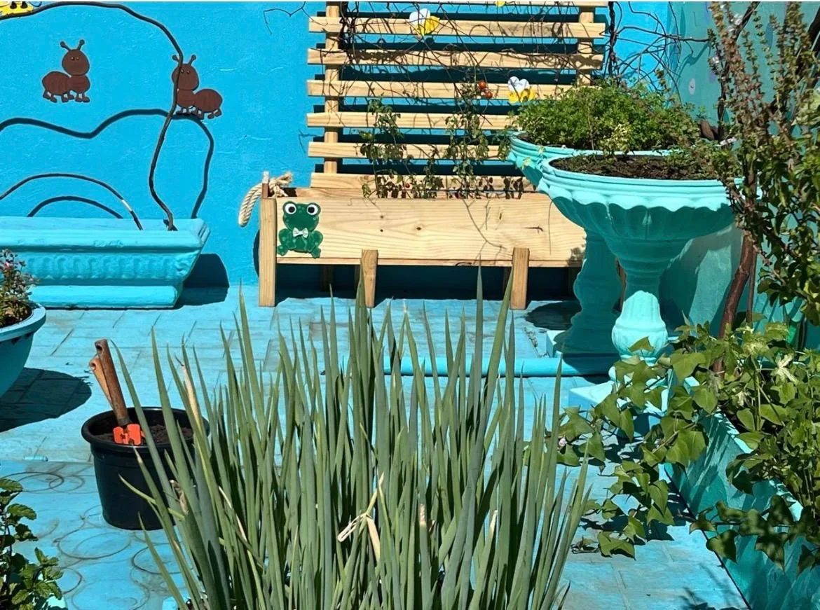 Horta escolar com plantas, canteiros e elementos naturais